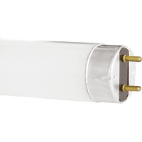 Лампа люминесцентная Philips TL-D 36W/54 36Вт, G13, 6200К холодный дневной свет, трубка, 25шт/уп