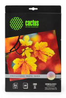 Фотобумага для струйных принтеров Cactus Prof CS-SGA428020 А4, 20 листов, 280 г/м2, белая, полуглянц