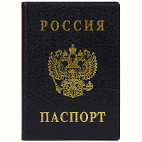 Обложка для паспорта ДПС, ПВХ, тиснение 'Герб', черный