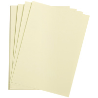 Цветная бумага Clairefontaine Etival color бледно-зеленый, 500х650мм, 24 листа, 160г/м2, легкое зерн