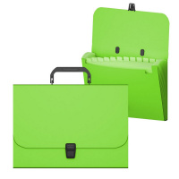 Портфель пластиковый ErichKrause Matt Neon, с 12 отд, A4, зеленый