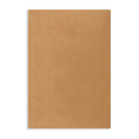 Пакет почтовый бумажный плоский Бумажные Технологии C4 крафт, 229х324мм, 80г/м2, 200шт, декстрин