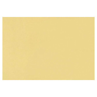 Бумага для пастели Fabriano Tiziano А2+ 500х650мм, 160 г/м2, 1 лист, банановый, 52551003