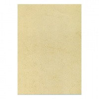 Дизайн-бумага Decadry Executive Line Буффало гавана, А4, 90г/м2, 25 листов