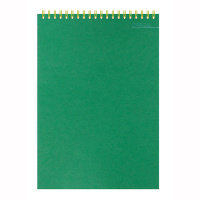 Блокнот Attache Микровельвет зелёный, А5, 50 листов, в клетку, на спирали, картон
