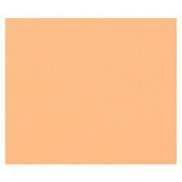 Цветная бумага Clairefontaine Tulipe лососевый, 500х650мм, 25 листов, 160г/м2, легкое зерно
