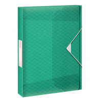 Пластиковая папка на резинке Esselte Colour'Ice зеленая, А4, до 350 листов, 626265