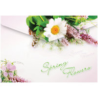 Пластиковая папка на кнопке Berlingo Spring Flowers, с рисунком, А4, 180мкм