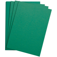 Цветная бумага Clairefontaine Etival color темно-зеленый, 500х650мм, 24 листа, 160г/м2, легкое зерно