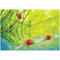 Пластиковая папка на кнопке Berlingo Ladybird, с рисунком, А4, 180мкм