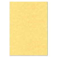 Дизайн-бумага Decadry Corporate Line Золотой пергамент с текстурой, А4, 165г/м2, 15 листов
