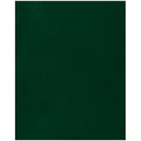 Тетрадь общая Officespace зеленая, А5, 48 листов, в клетку, на скрепке, бумвинил