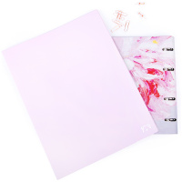 Файловая папка Meshu Dew Pink dreams, А4, на 40 файлов, 21мм