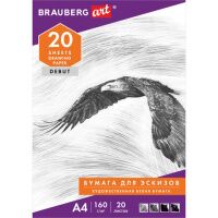 Папка для рисования Brauberg А4, 160г/м2, 20 листов
