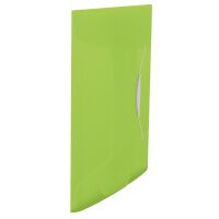 Пластиковая папка на резинке Esselte Vivida зеленая, A4, до 150 листов, 624041