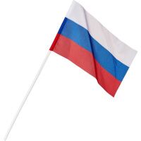 Флаг Агт Геоцентр РФ 12х18см, с флагштоком