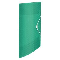 Пластиковая папка на резинке Esselte Colour'Ice зеленая, А4, до 150 листов, 626223