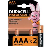 Батарейка Duracell Professional AAA LR03, алкалиновая, 2шт/уп