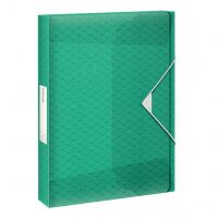 Пластиковая папка на резинке Esselte Colour'Ice зеленая, А4, до 350 листов, 626265