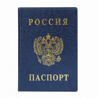 Обложка для паспорта Дпс синяя, ПВХ
