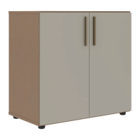 Шкаф низкий широкий VLCS 80.1 Аметист/Кобра 800х430х781 VELION