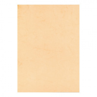 Дизайн-бумага Decadry Executive Line Буффало коралловый, А4, 200г/м2, 50 листов