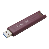 USB флешка Kingston DataTraveler MaxA 256 Гб, USB 3.2 G2, бордовый