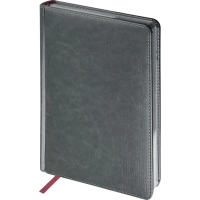 Ежедневник недатированный А5+SIDNEY NEBRASKA серый,сереб.обр,136л 3-128/22