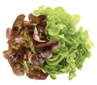 Салат Агрохолдинг Московский Латук трио микс, 168г