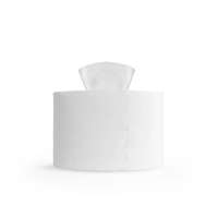 Салфетки одноразовые TTS,  32x28 см,  6 рулонов*90 шт. для 4 Л контейнеров, 00007500