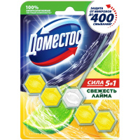 Освежитель для унитаза Domestos Power 5 Лайм, 55г, подвесной блок