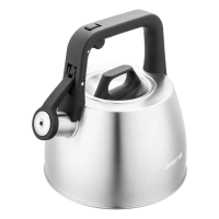 Чайник Polaris Graphit со свистком, 2.5л