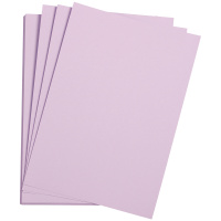 Цветная бумага Clairefontaine Etival color парма, 500х650мм, 24 листа, 160г/м2, легкое зерно