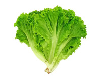 Салат Латук, 200г