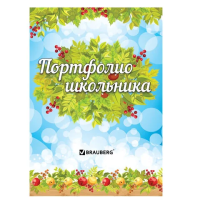 Портфолио для школьника Brauberg Окружающий мир, А4, 14 разделов