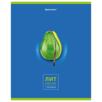 Тетрадь предметная 'AVOCADO' 48 л., глянцевый лак, ЛИТЕРАТУРА, линия, подсказ, BRAUBERG, 404281