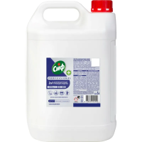 Универсальный моющий концентрат Сиф Professional Спец-2 5л, 2в1, дезинфицирующий, канистра