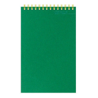 Блокнот Attache зеленый, А6, 50 листов, в клетку, на спирали, картон