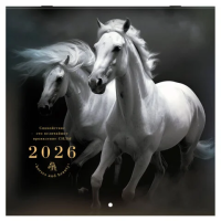 Календарь настенный перекидной 2026 г., BRAUBERG, 12 листов, 28,5х28,5 см, 'Символ года', 116928