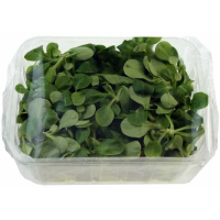 Салат корн, 125г