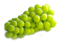 Виноград Шайн Мускат белый без косточек