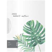 Папка с пластиковым клипом Berlingo 'Eco' А4, 450 мкм, с рисунком