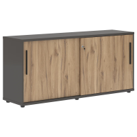 Шкаф низкий с дверьми купе ELC 1643 Дуб Денвер светлый/Черный/Мокко 1606х430х750 EDIS