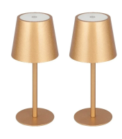 aro Набор ламп золотой 20см, 2шт