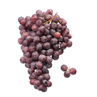 Виноград черный с косточками