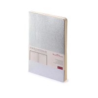 Ежедневник А5 megapolis flex (серебро) 3-531/51