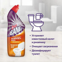 Чистящее средство для сантехники Cillit Bang Turbo Power 450мл, антиналет+блеск, сила цитруса, гель