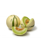 Дыня Дино белая