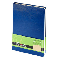 Ежедневник недатированный Bruno Visconti Megapolis синий, А5, 160 листов
