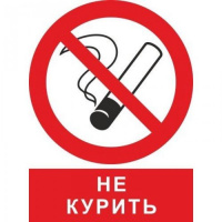 Знак Запрещается курить! Гасзнак 200х250мм, самоклеящаяся пленка ПВХ, ZK094
